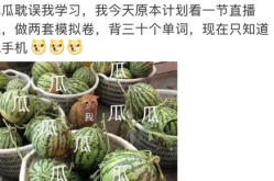 娱乐圈吃瓜大全421,揭秘娱乐圈背后的惊人真相与幕后故事