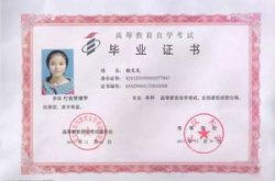自考本科考哪几门,掌握关键课程，轻松迈向本科之路