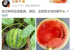 吃娱乐圈的瓜,揭秘明星幕后故事与情感纠葛