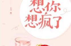 想你想疯了 奚六,奚六的情感纠葛与成长之旅