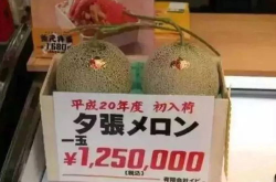 茫茫娱乐吃瓜