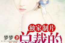 总裁的独家专属,权力巅峰的神秘面纱