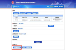 广州摇号查询,轻松获取粤A指标信息
